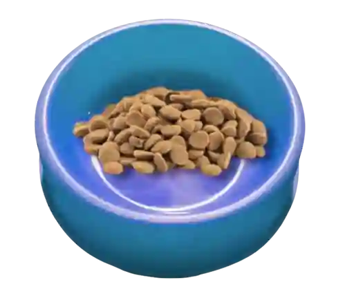 Plato Comedero Para Perro Y Gato Colores Surtidos 16cm