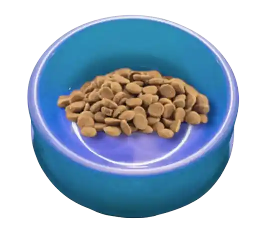 Plato Comedero Para Perro Y Gato Colores Surtidos 16cm