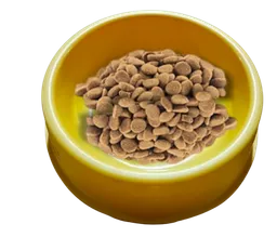 Plato Comedero Para Perro Y Gato Colores Surtidos 16cm