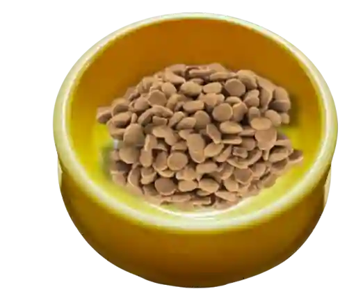 Plato Comedero Para Perro Y Gato Colores Surtidos 16cm