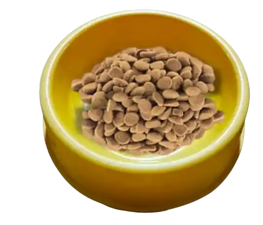 Plato Comedero Para Perro Y Gato Colores Surtidos 16cm
