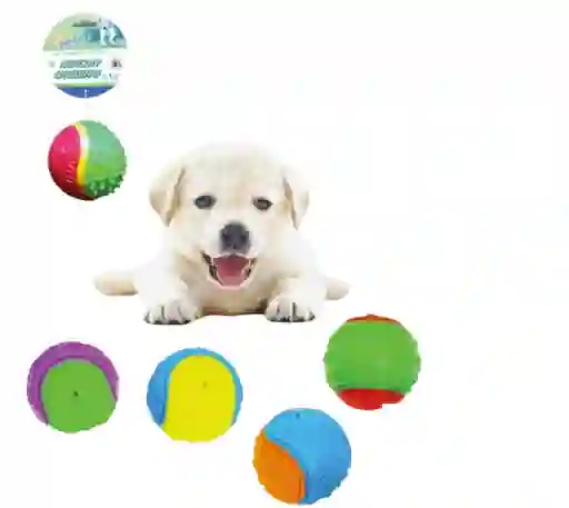 Juguete Pelota Con Texturas Estimulantes Para Perro