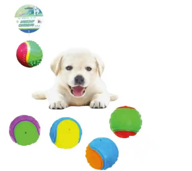 Juguete Pelota Con Texturas Estimulantes Para Perro