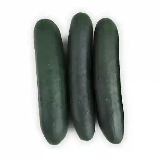 Pepino Cohombro
