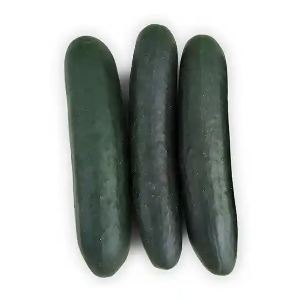 Pepino Cohombro Precio Por Kg