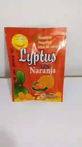Lyptus Miel Naranja X 1 Und