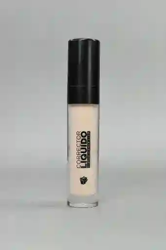 Corrector Líquido