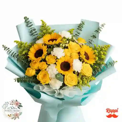 Sol Y Rosas