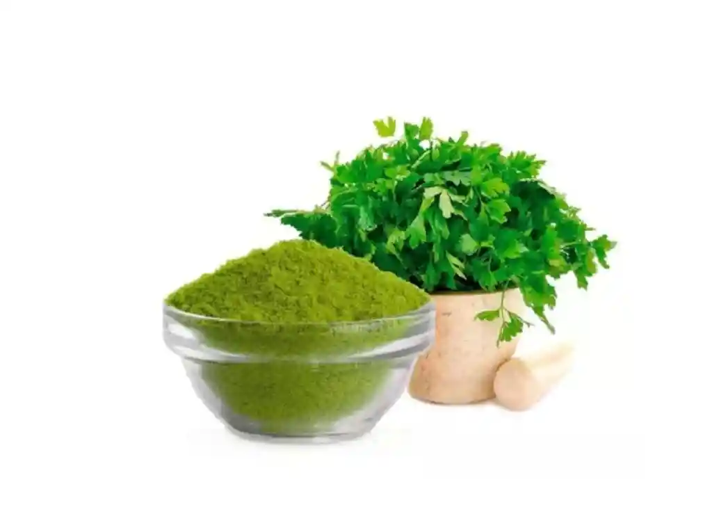 Perejil Deshidratado Molido