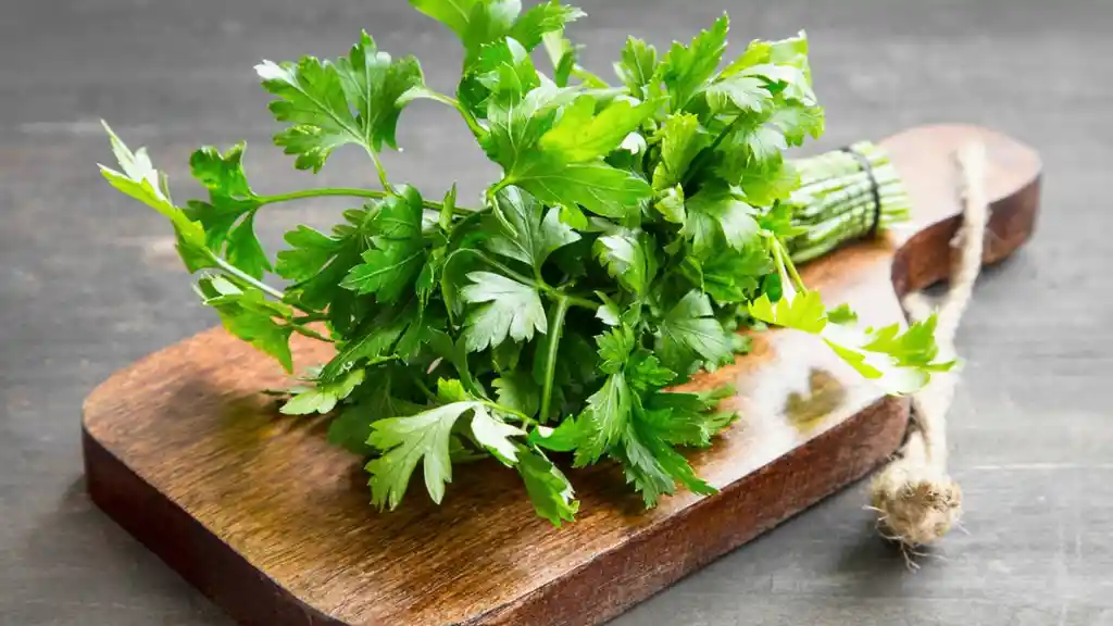 Perejil Deshidratado Molido