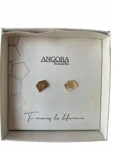 Aretes De Cámara Fotográfica
