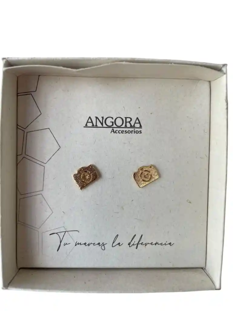 Aretes De Cámara Fotográfica