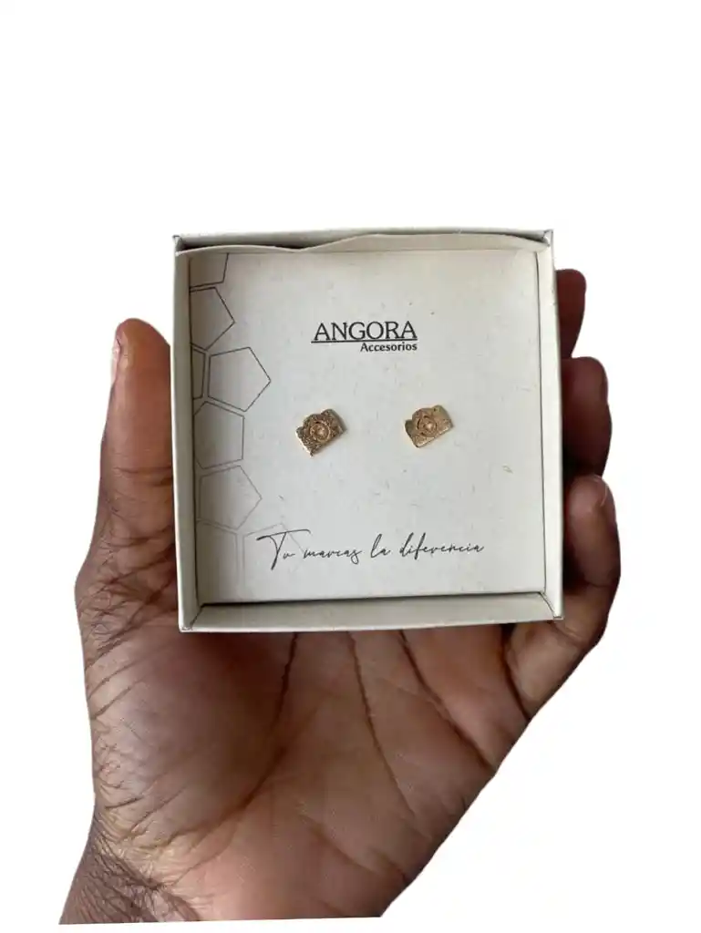 Aretes De Cámara Fotográfica