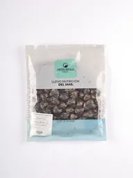 Almeja En Concha Negra 500 G
