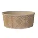 Bioform Bowl Bamboo Latido Con Tapa 26onz X 50 Und