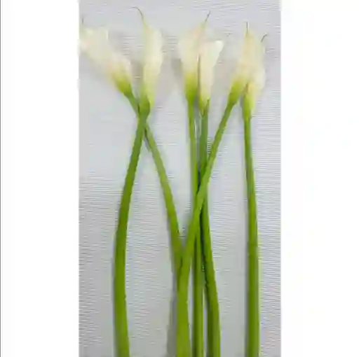 Cartuchos X 6 Flores