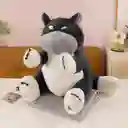 Peluches Con Cobija Viajera