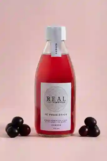 Kombucha De Corozo