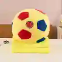 Balones Deportivos Equipos Con Cobija