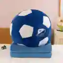Balones Deportivos Equipos Con Cobija