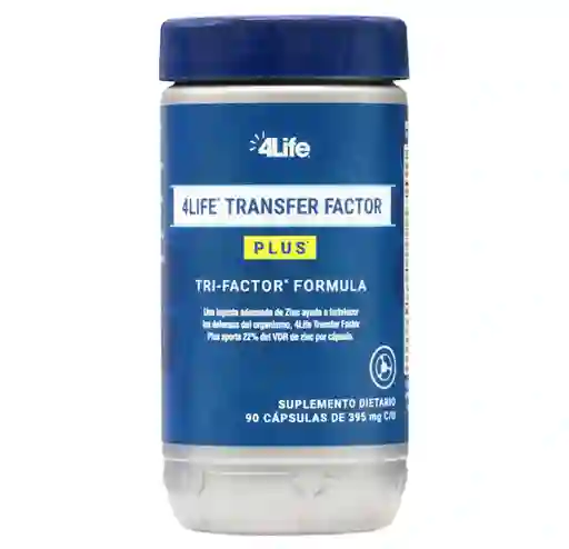 Factor De Trasferencia
