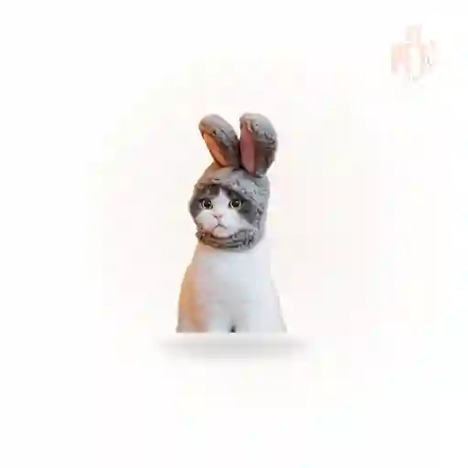 Gorritos Peluche