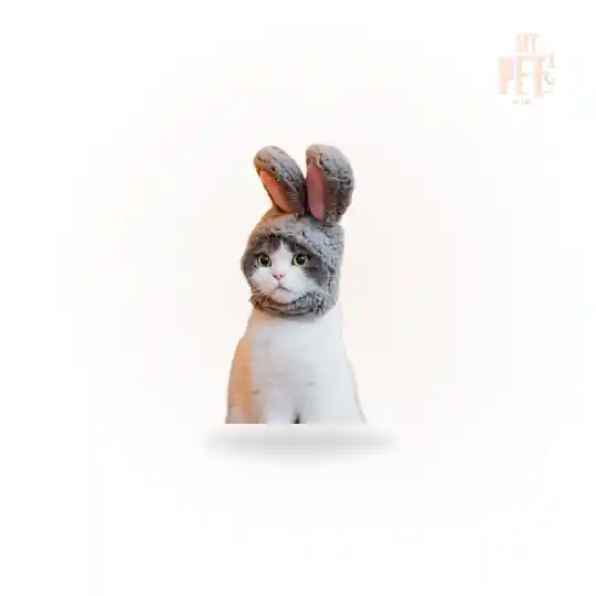 Gorritos Peluche