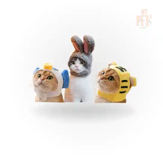 Gorritos Peluche