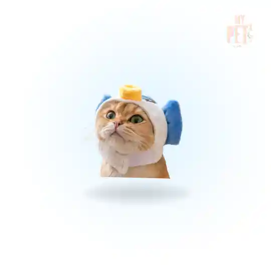 Gorritos Peluche