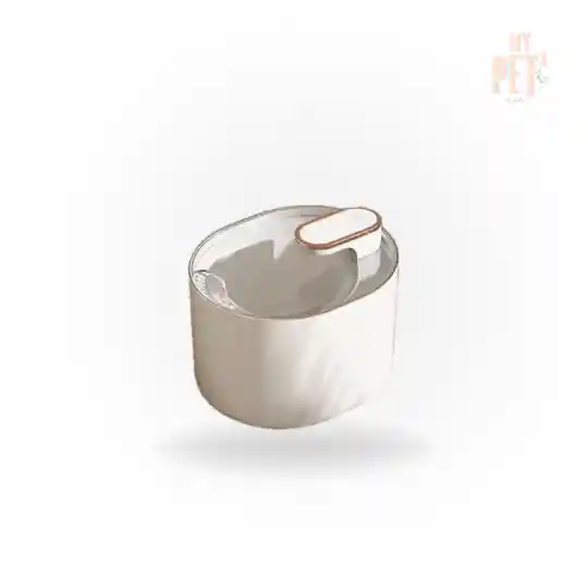 Fuente De Agua Luxury