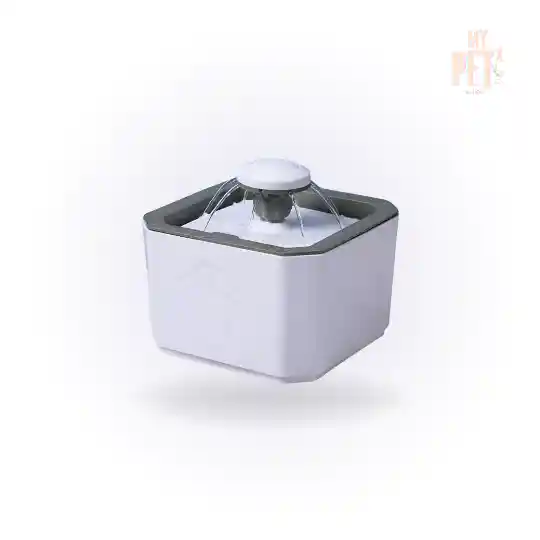 Fuente De Agua Blanca