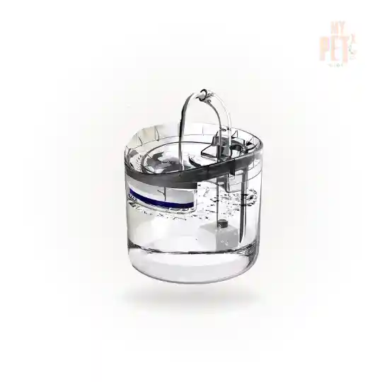 Fuente De Agua Transparente
