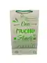 Bolsa De Regalo Cartulina Verde 27x16 Con Mucho Amor Para Ti, Feliz Dia