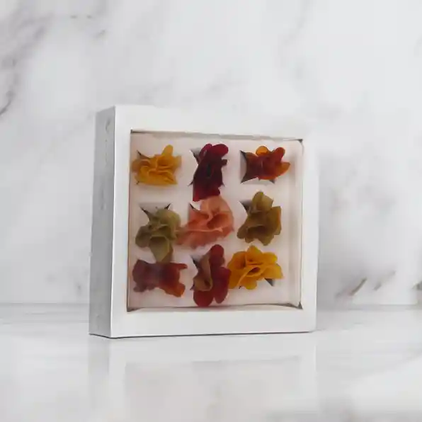 Tropical Passion X9 - Trufas De Chocolate