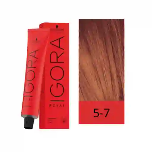 Schwarzkopf Profesional Tinte Igora Royal Tono Castaño Claro Cobrizo 5.7 60ml