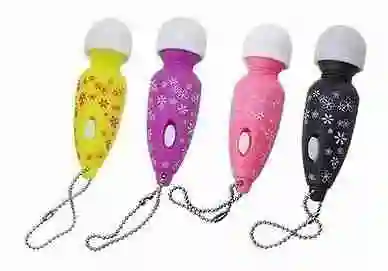 Mini Mini Wanache