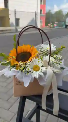 Bolso Girasoles Y Margaritas