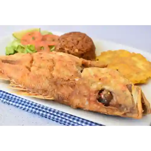 Pargo Rojo