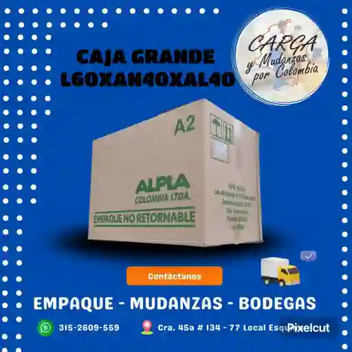 Caja Grande Alpla 60x45x40-empaque