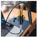 Micrófono Condensador - Brazo Tijera Y Filtro (combo)