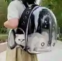 Maleta Tipo Capsula Mascotas Perro Y Gato