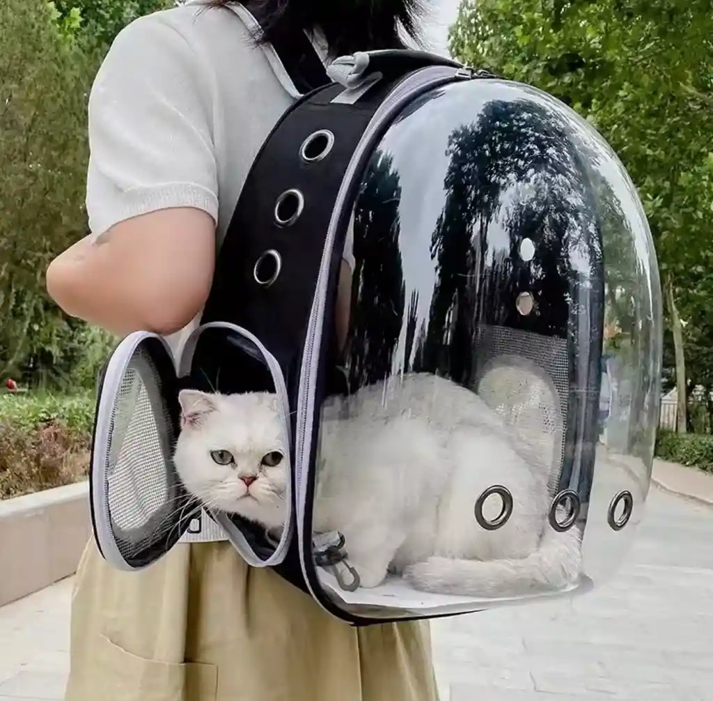 Maleta Tipo Capsula Mascotas Perro Y Gato