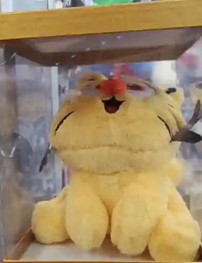 Hermoso Peluche De Gato En Caja Decorativa
