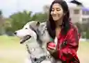 2 Pelotas Juego Mascota Perro Canino Parque Paseo