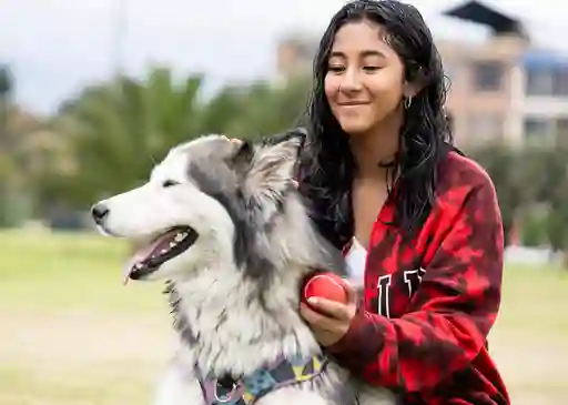2 Pelotas Juego Mascota Perro Canino Parque Paseo