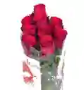 Rosas Rojas En Paquete