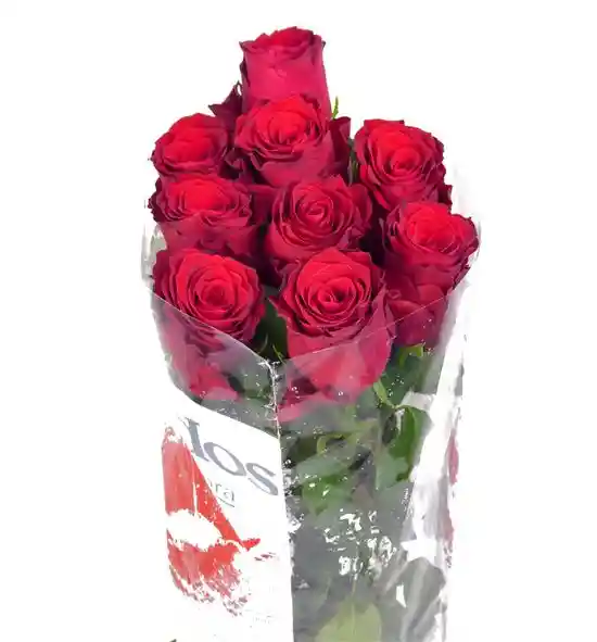 Rosas Rojas En Paquete