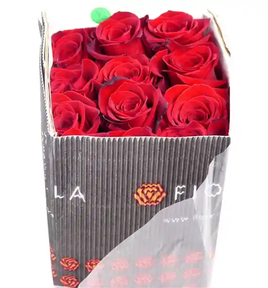 Rosas Rojas En Paquete