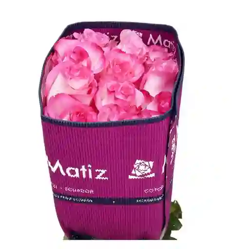 Rosa Rosadas En Paquete