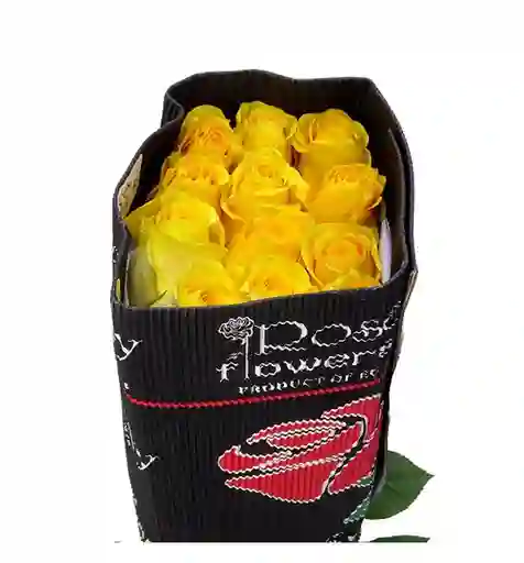 Rosas Amarilla En Paquete